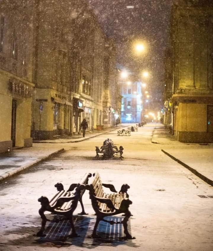Apartments Galitskaya Street Lviv Kültér fotó